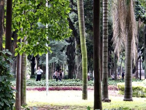 São Paulo - Parque da Luz