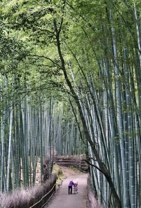 Kyoto - Arashiyama Bamboo Forest